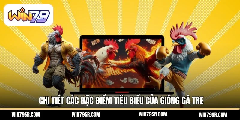 Chi tiết các đặc điểm tiêu biểu của giống gà tre
