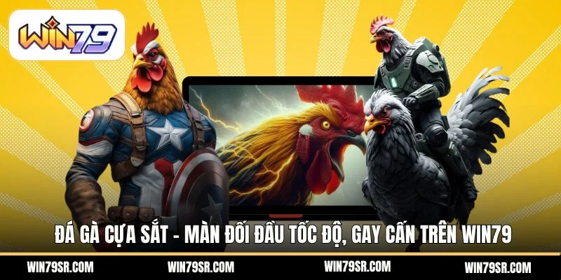 Đá gà cựa sắt