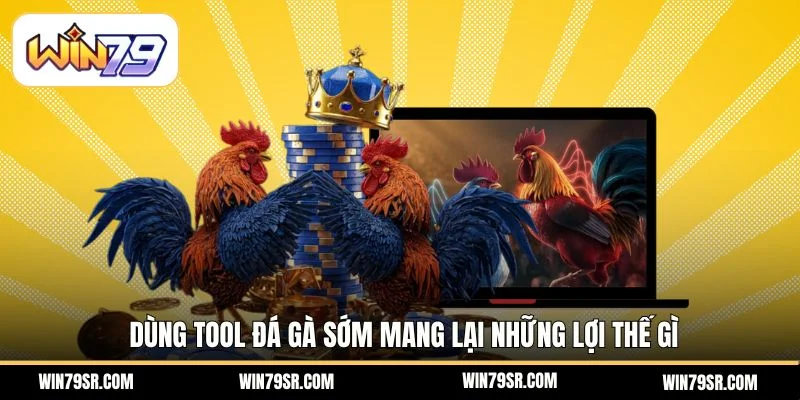 Dùng tool đá gà sớm mang lại những lợi thế gì