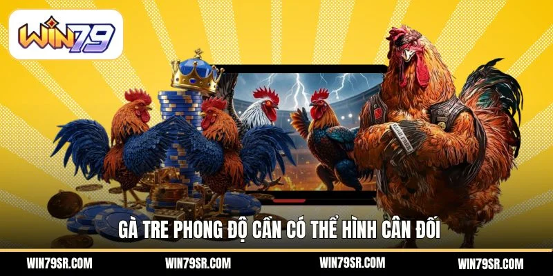 Gà tre phong độ cần có thể hình cân đối