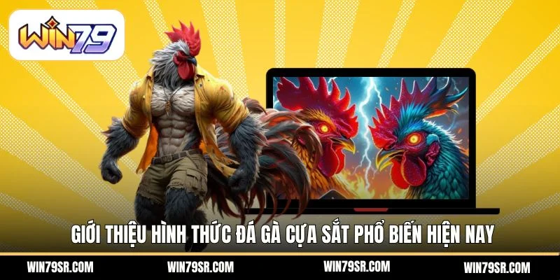 Giới thiệu hình thức đá gà cựa sắt phổ biến hiện nay