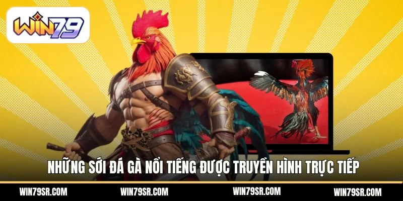Những sới đá gà nổi tiếng được truyền hình trực tiếp