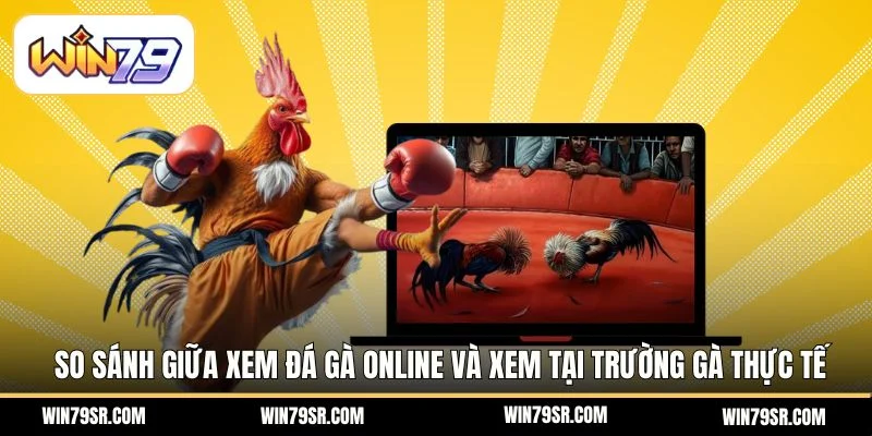 So sánh giữa xem đá gà online và xem tại trường gà thực tế