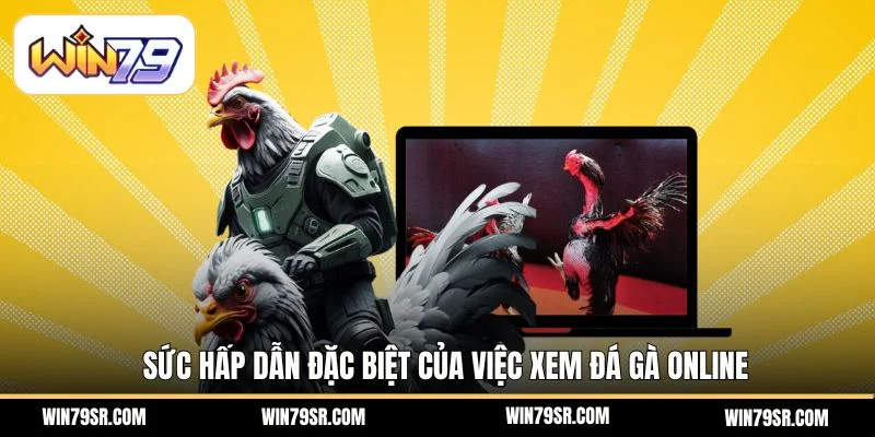 Sức hấp dẫn đặc biệt của việc xem đá gà online