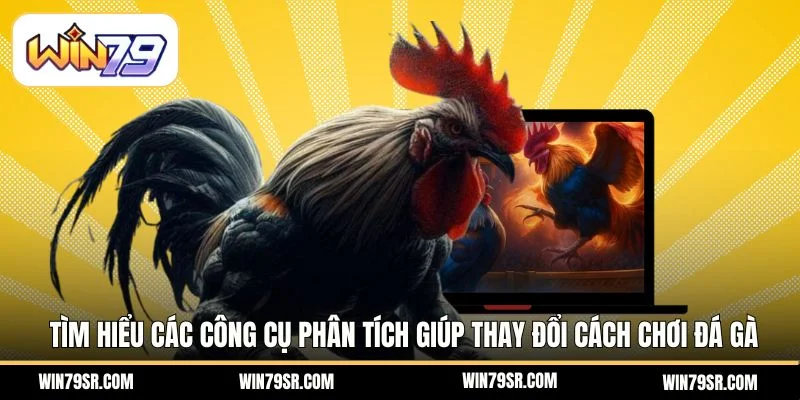 Tìm hiểu các công cụ phân tích giúp thay đổi cách chơi đá gà