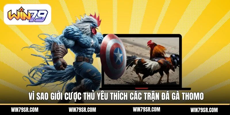 Vì sao giới cược thủ yêu thích các trận đá gà Thomo